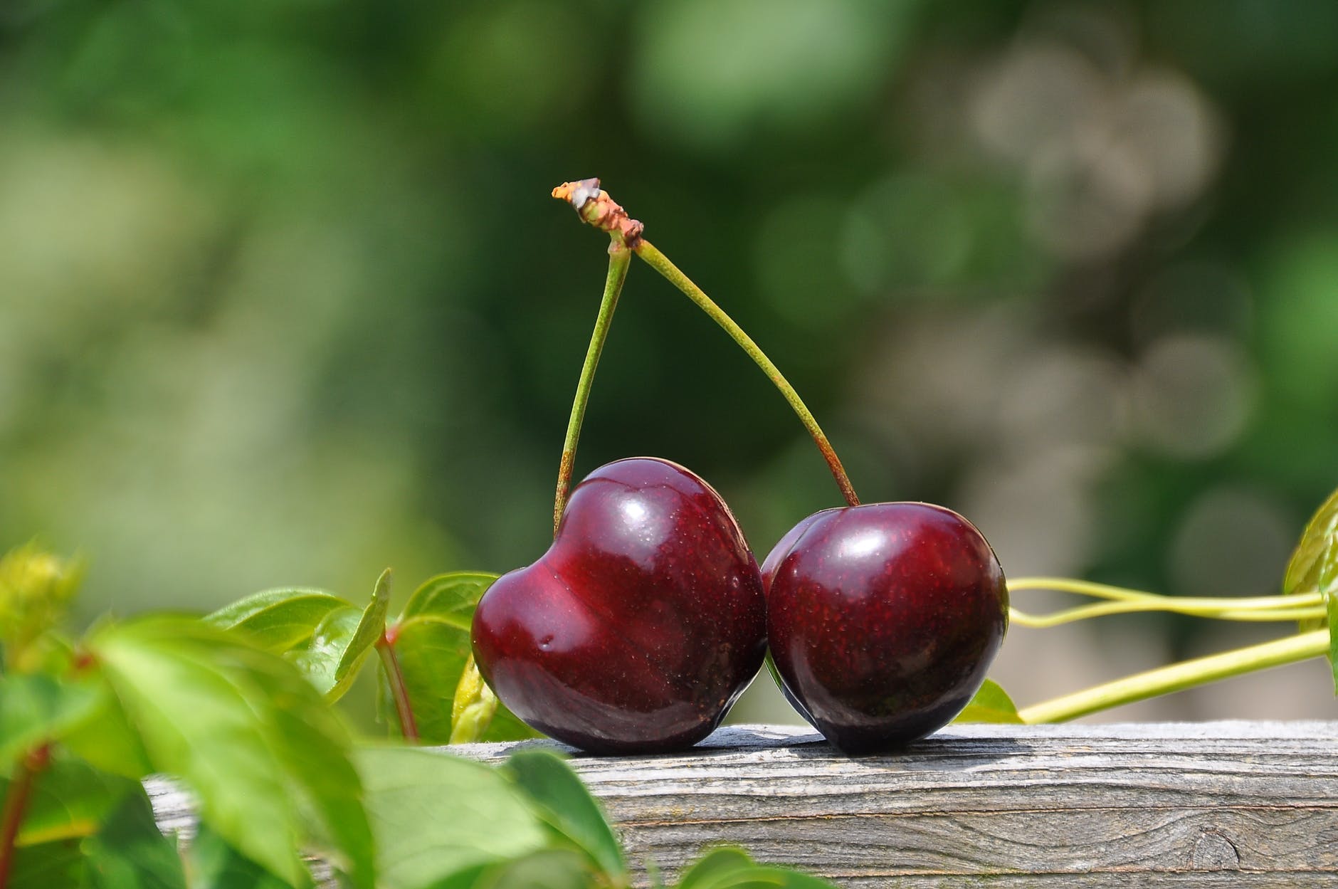 Cherry Fruit Benefits for Hair That'll Surprise You - HK Vitals